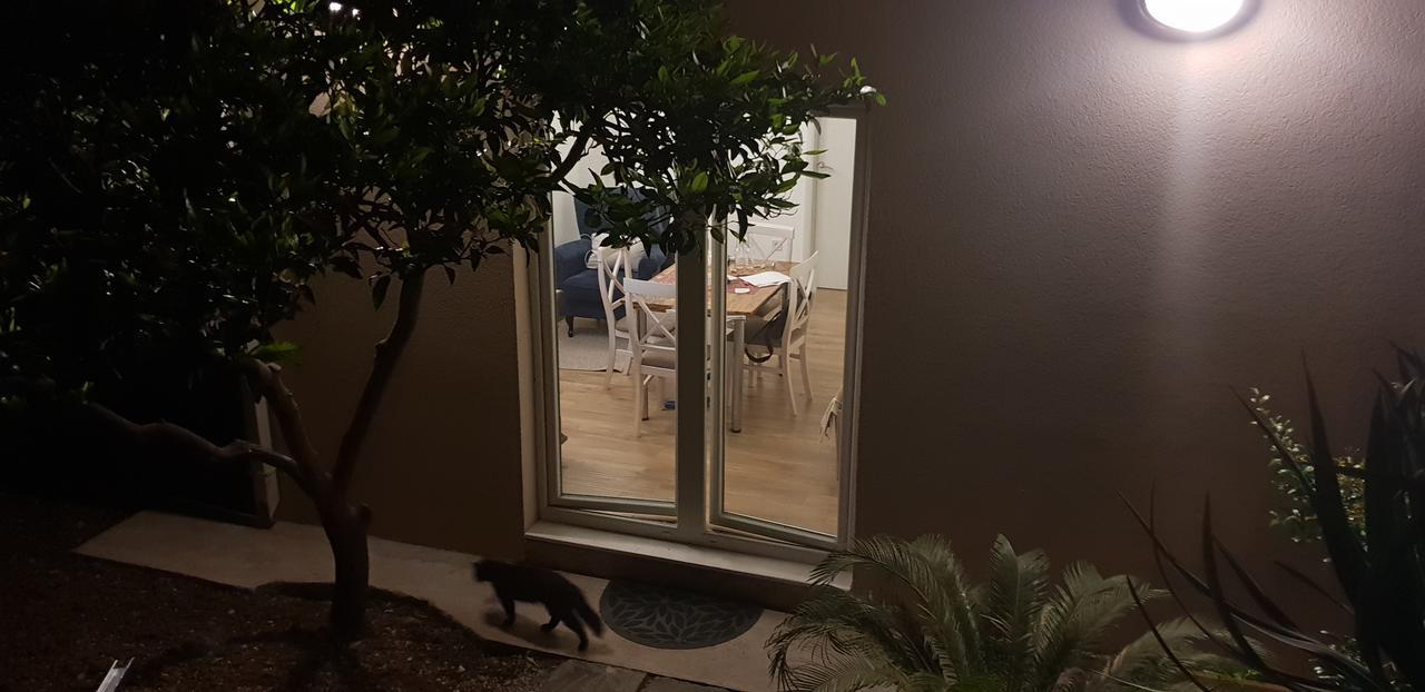 Garden Apartmant Near Sea كوتور المظهر الخارجي الصورة